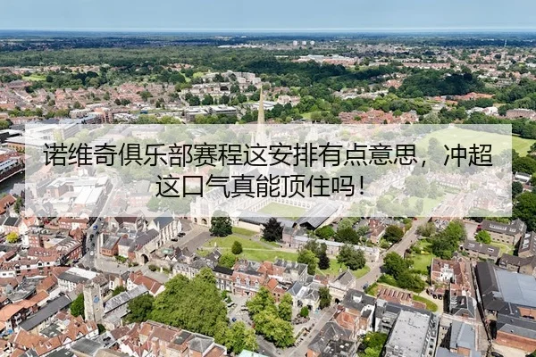 诺维奇俱乐部赛程这安排有点意思，冲超这口气真能顶住吗！ | leyu