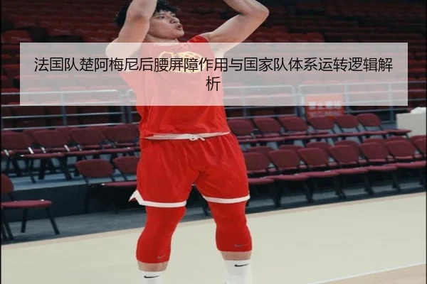 法国队楚阿梅尼后腰屏障作用与国家队体系运转逻辑解析（leyu）