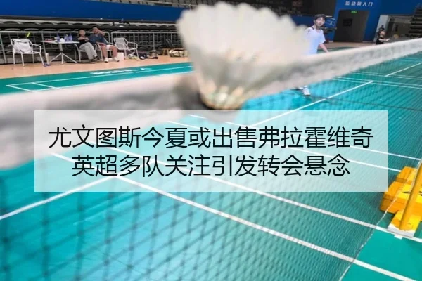 尤文图斯今夏或出售弗拉霍维奇 英超多队关注引发转会悬念 | leyu