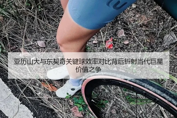 亚历山大与东契奇关键球效率对比背后折射当代巨星价值之争 | leyu